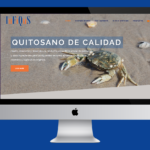 diseño web freelance